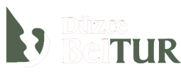 beltur_sitelog-255x111